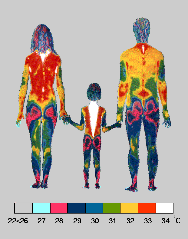 'Thermograms', temperature sensitive pictures, taken without clothes in a 22C room show that a healthy Child generates internal spinal warmth along the full length of his/her spine - The thermogram shown is a temperature sensitive image, with colours showing temperatures in 1C steps: Grey (cool), Turquoise, Purple, Pink, Blue, Green, Yellow, Orange, White (warm)... Where Grey (cool) is 22-26C or cooler and White (warm) is 34C or warmer
